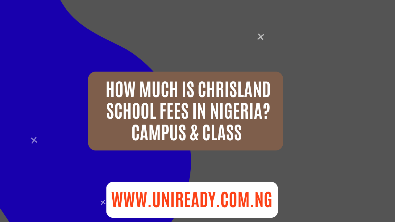 How Much Is Chrisland School Fees in Nigeria Campus & Class